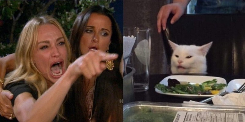 Create meme: meme with a cat and two women, MEM woman and the cat, meme woman yelling at the cat