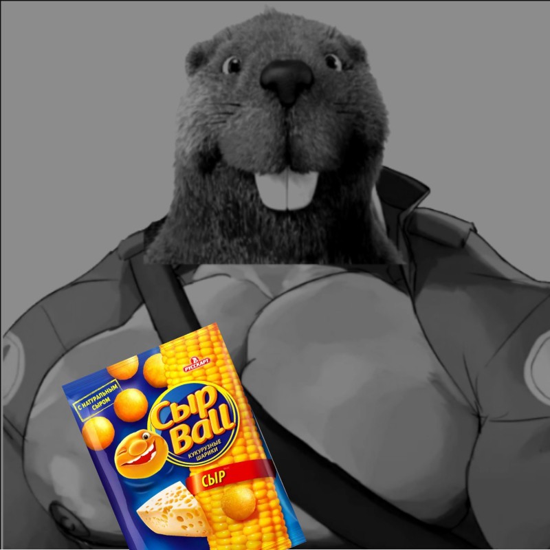 Create meme: all beaver, funny beavers, beavers are cool