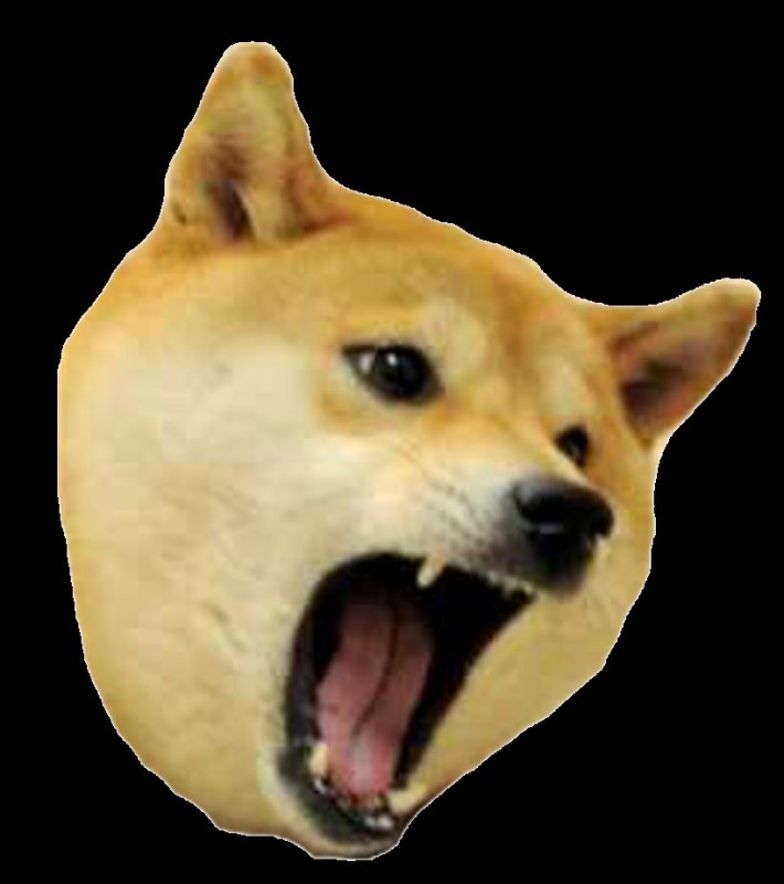 Create meme: shiba inu, doge is angry, doggie 