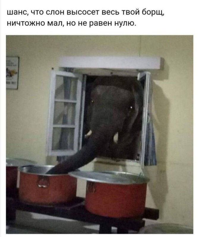 Create meme: the elephant is funny, hungry elephant, elephant 