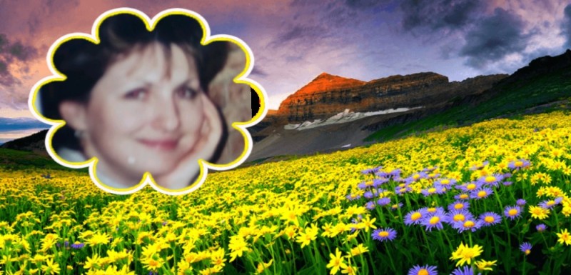 Создать мем: долина цветов, уттаракханд, индия, скриншот, поле цветы горы