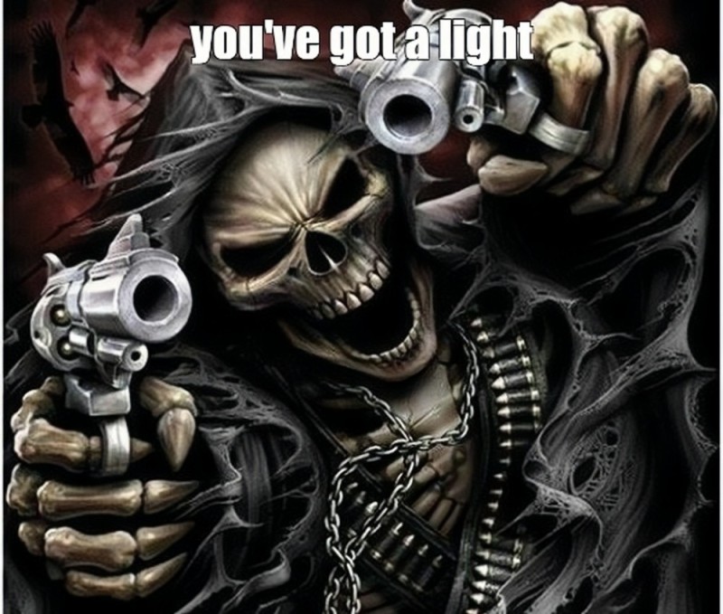 Create meme: the skeleton is cool, skeleton with a gun, skull with guns