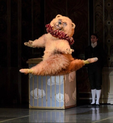 Create meme: The nutcracker boston ballet bear, bear ballet nutcracker, dancing bear 