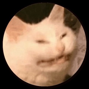 Create meme: cats, white smiling cat meme, cat