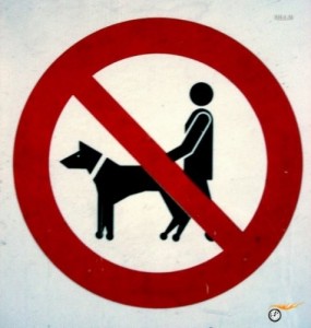 Create meme: stop, banned, dog walking is prohibited