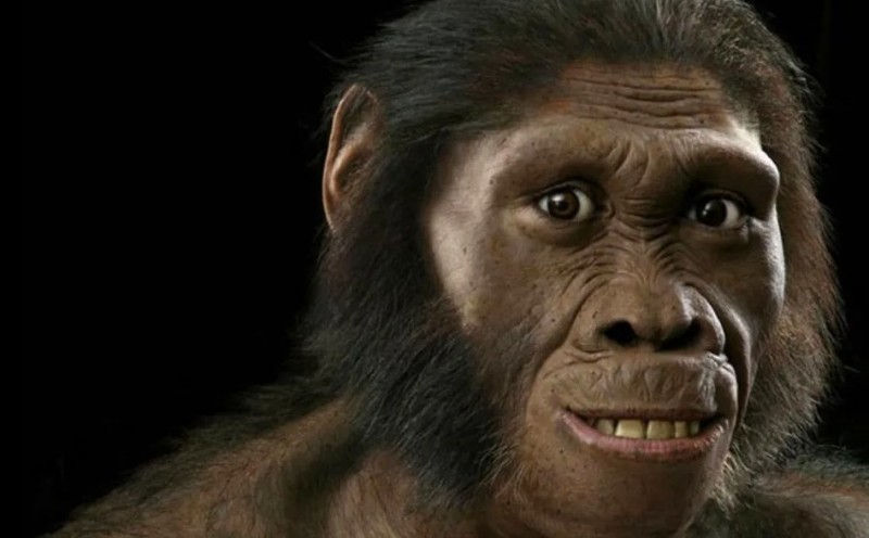 Create meme: gracile australopithecus, Australopithecus sediba, australopithecus gary