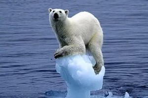 Создать мем: küresel ısınma, kutup ayısı, таяние льдов в арктике