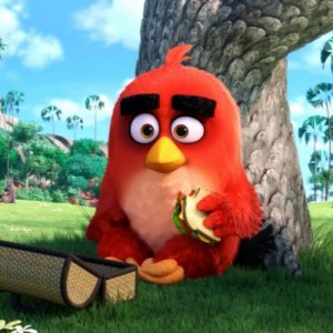 Create meme: Red from Angry Birds In the Movie 
