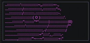 Создать мем: ascii javascript, череп из ascii-кодов, программирование