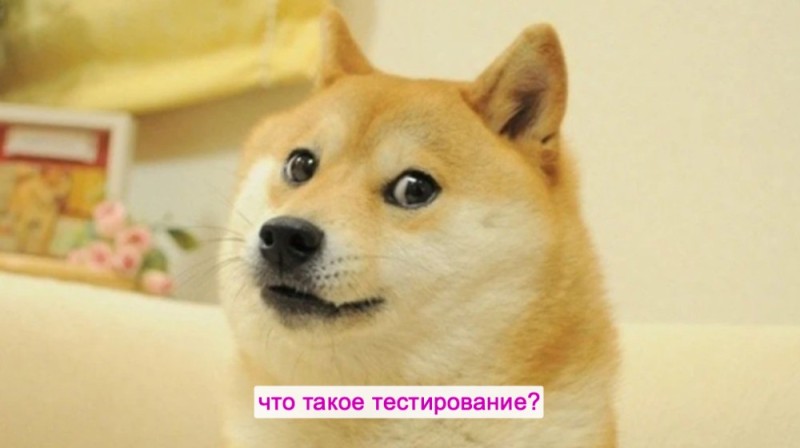 Создать мем: мем доги, сиба ину doge, грустный doge