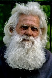 Create meme: beard, white beard, the elder