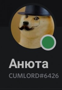 Создать мем: юлия, doge мем, doge