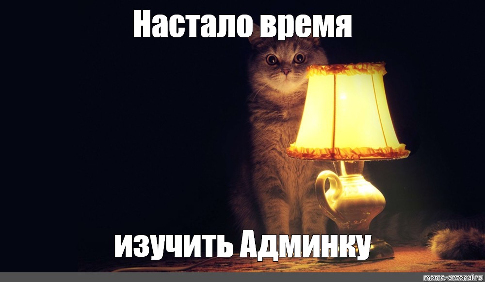 Настало время. Лампа кот. Кот с лампой настало время офигительных историй. Кот с лампой картинка. Кот ламповый мэм.