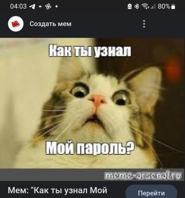 Создать мем: удивленный кот мем, коты мемы, кот мем