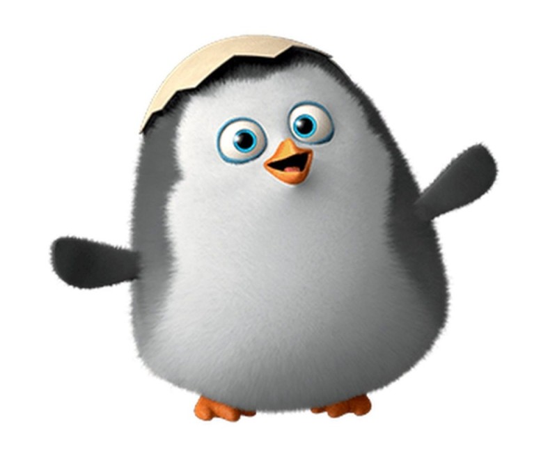 Create meme: the average penguin, the penguins of Madagascar Kowalski, penguin from Madagascar