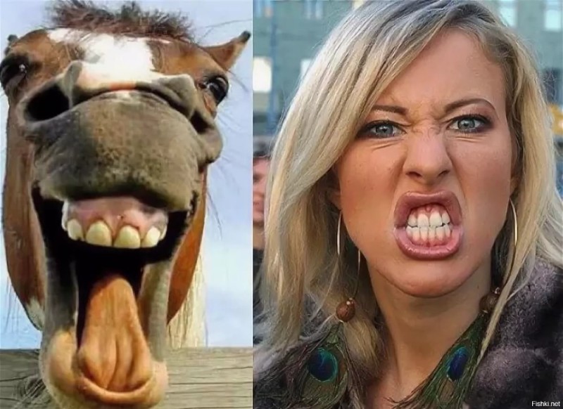 Create meme: Ksenia Sobchak horse, Sobchak is a horse, horse face