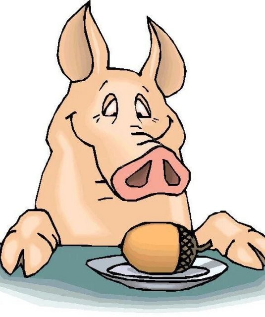 Create meme: pig eats acorns, pig , pig 