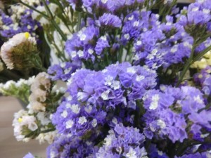 Create meme: flowers statice photos, flowers statice, statice Supreme blue