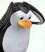 Create meme: the penguin is in shock, penguin arab, penguin 