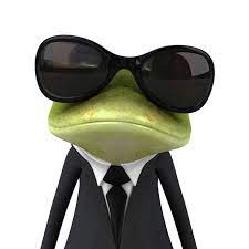 Create meme: the frog is cool, funny frogs, frog 