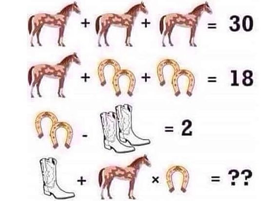 Create meme: the problem with horses and horseshoes, mathematical puzzles horse and horseshoes, a logical problem with horses and horseshoes