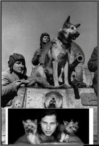 Создать мем: парад победы 1945 собака джульбарс, собака великой отечественной войны джульбарс., джульбарс