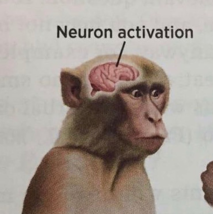 Create meme: monkey neuron activation, neuron activation meme, monkey brain
