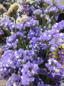 Create meme: limonium sinuatum, statice blue, statice blue