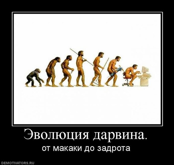 Create meme: human evolution , evolution , darwin's evolution