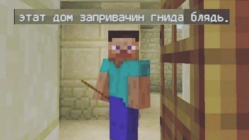 Create meme: this house is locked, this house is captured by the minecraft meme, minecraft Steve