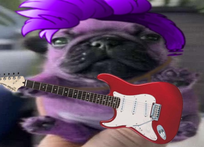 Create meme: a pug with a guitar, lenya the pug, the trick 