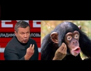 Создать мем: шимпанзе бонобо, обезьяны шимпанзе, шимпанзе мем