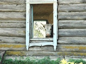 Создать мем: деревенское, деревенские мотивы, деревенский дом