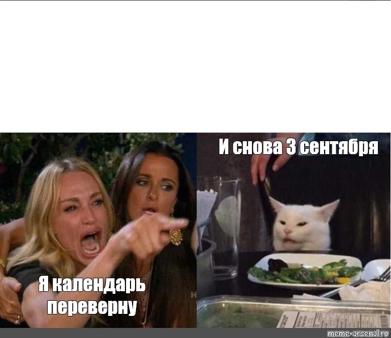 Выбрать другой шаблон. #screaming woman cat. 