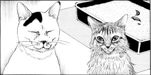 Создать мем: дзюндзи ито cat, джунджи ито кошачий дневник, кот черно белый