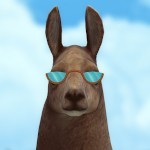 Create meme: boy , Lama , funny animals 