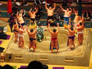 Create meme: sumo, a sumo wrestler