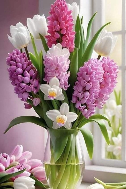 Create meme: flower hyacinth, bulbous flowers, hyacinths bouquet