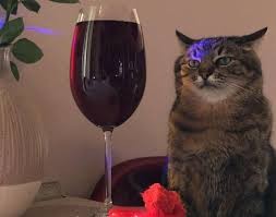 Создать мем: кот степан с бокалом, кот с вином, с бокалом вина