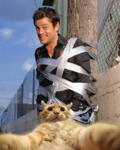 Create meme: men in black 2, catsvill, johnny knoxville