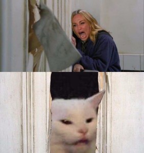 Создать мем: woman yelling at a cat мем, Сияние, сияние мем с топором