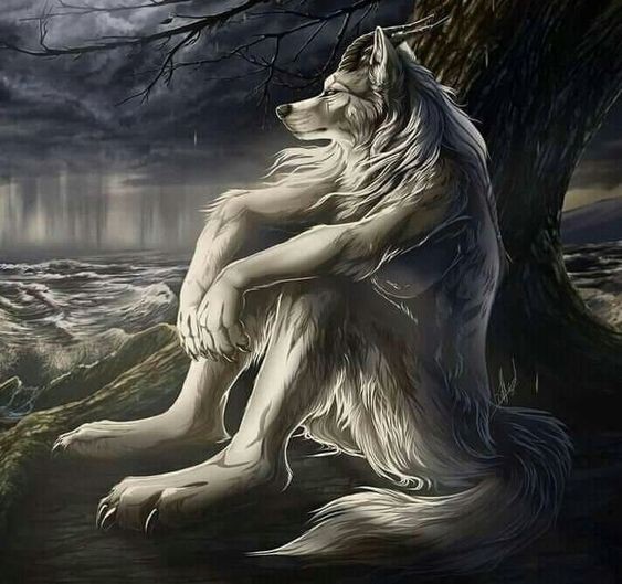 Create meme: lone wolf , werewolf art, wolf fantasy