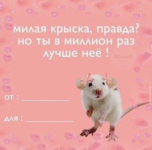 Create meme: Valentines, Valentines memes, funny Valentines