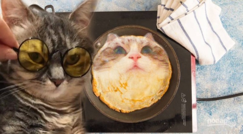 Create meme: funny pancakes, cat blini, the cat with the pancakes meme