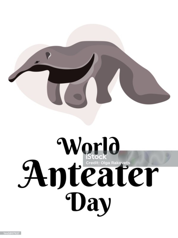 Create meme: anteater, anteater stylization, anteater 