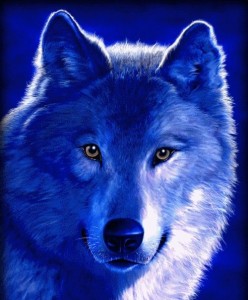 Create meme: wolf, beautiful wolf, wolf wolf