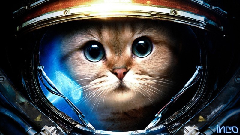 Создать мем: котик в скафандре, кот космонавт, котик в космосе