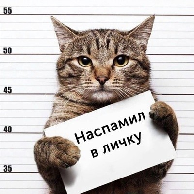 Создать мем: кот wanted, кот, кот котовский