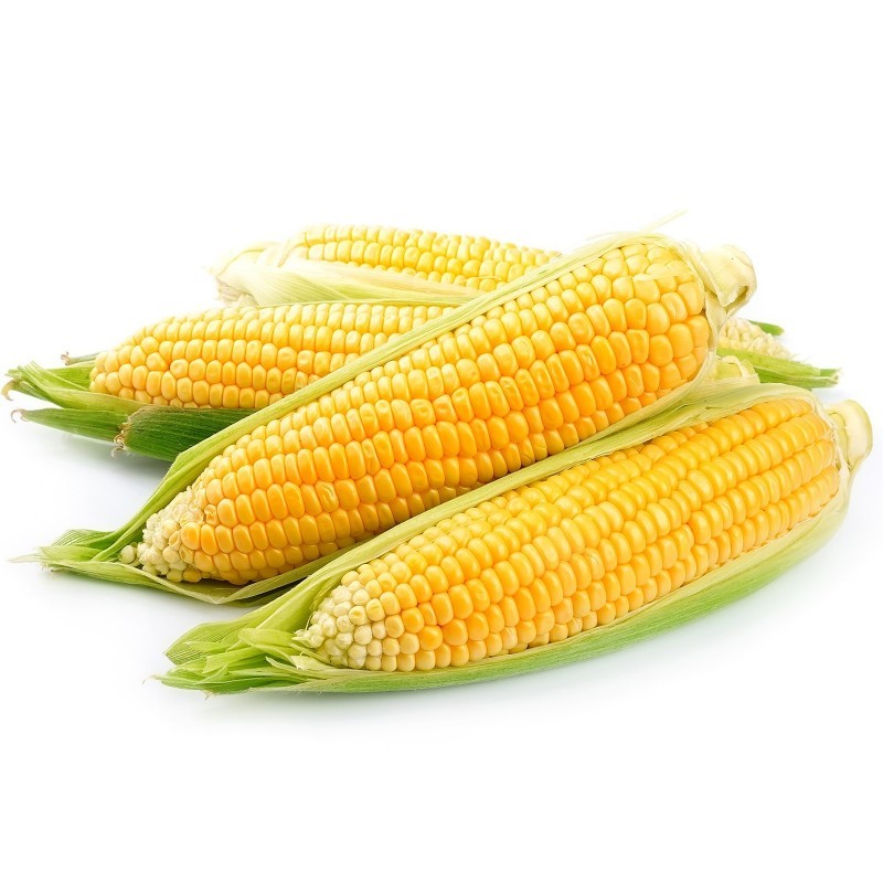 Создать мем: сладкая кукуруза, кукуруза сахарный початок, сахарная кукуруза
