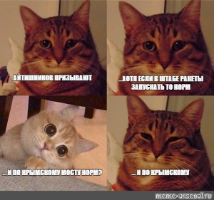 Создать мем: мемы с котами, кот мем, мем котик